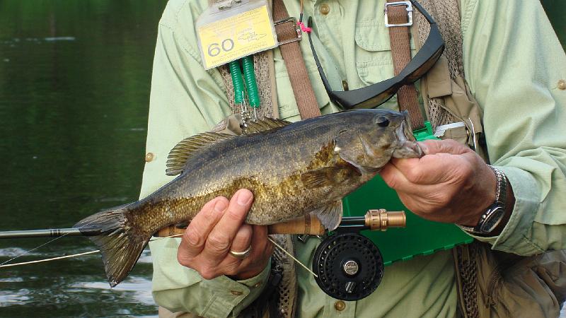 Last fish close up.JPG
